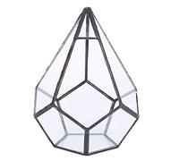 Silver Clear Glass Dodecahedron Geometric Terrarium Globe Planter Container Indoor Fairy Garden Pot Centerpiece for Succulent Air Plants Wedding Coffee Table Stylish Geometric Shape Flowerpot