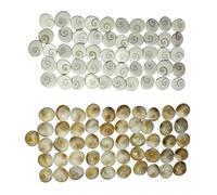 Silver Gomti/Gaumti Chakra Lot de 51 pierres précieuses naturelles et certifiées astrologiques unisexes pour homme et femme - B0DHV7RL41