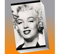 Silver Marilyn . Marilyn Monroe et la caméra