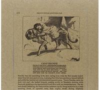 The Pretty Little Lightning Paw