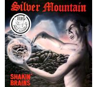 Regain Handmade Shoes Chaussures SILVER MOUNTAIN – SHAKIN’ BRAINS