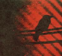 Silver Mt.Zion Memorial Orche - Born Into Trouble As the Spark