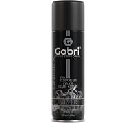 Silver Pro Temporary Color Hair Spray 150ml-Temporary Hair Color Silver