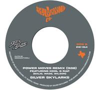 Silver Skylarks Power Moves (Vinyl)