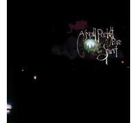 Silver Sunshine - A Small Pocket of Pure Spirit