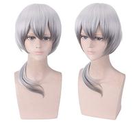 SilverAsh Cosplay perruque jeu Arknights perruques 40cm court argent gris SilverAsh jeu de cheveux synthétiques Cosplay garçon perruque + casquette de perruque Arknights SilverAsh 678