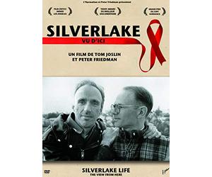 SILVERLAKE VU D'ICI