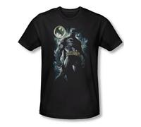 Silverstein - Boy Named Sue and Othercountry