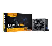 SilverStone Technology ET750-HG Bloc d'alimentation semi-modulaire 80 Plus Gold pour ordinateur 750 W