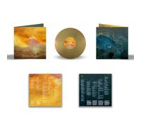 Silversun Pickups Tenterhooks (Vinyl) 12" Album Coloured Vinyl