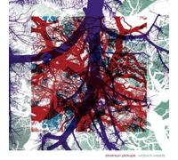 Widow's Weeds – Double vinyle + téléchargement gratuit – Warner Music