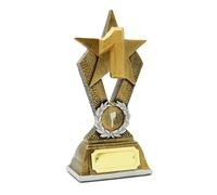 SilverTrophy: Trophée étoile d'or 1ère place, champion, gagnant, premier, lauréat du prix, médaille d'or, numéro 1, cadeau d'entreprise, figurine abordable, plaque de gravure, prix sportif, école