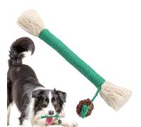 Silvervine - Jouet à mâcher pour chat - Bâtonnets naturels Silvervine pour le nettoyage des dents des chatons - Friandises Natural Dentals pour chatons - Favorise des gencives saines