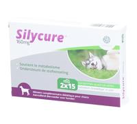 Silycure 160mg Comprimé(S) 2x15 pc(s)