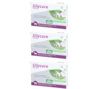 Silycure 160mg Comprimé(S) 3x2x15 pc(s)