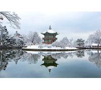 Sim, Puzzle fait à la main en bois de tilleul de qualité supérieure, 1000 pièces, peinture de célébrité aux couleurs vives, 29,5 x 49,8 cm, noblesse cadeau dans une boîte cadeau : Corée du Sud Winter