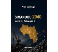 SIMANDOU 2040: FORCE OU FAIBLESSE ?