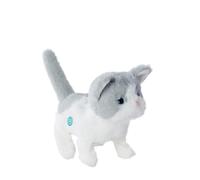 PETZOO Chaton