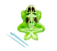Simba Scout Dissect-It Grenouille à dissectionner 16 cm Squelette et Organes à Assembler Kit de Recharge Outils à partir de 5 Ans