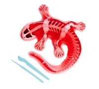 Simba Kit de dissection Scout Dissect-It Salamandre 14 cm Squelette et organes dès 5 ans