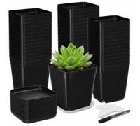 SIMDAO Lot de 40 petits pots de fleurs carrés en plastique avec soucoupe, 7 cm, avec trous de drainage pour graines, plantes succulentes (noir)