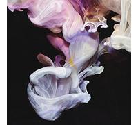 Simian Mobile Disco Murmurations (Vinyl) 12" Album