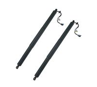 SIMICASE Amortisseur Vérin de hayon électrique pour BMW X2 F39 2018-2020, actionneur de hayon électrique 51249465654 Hayon Moteur Électrique(2 pcs)