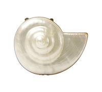 Simkhai, Femme, Sacs, Blanc, Taille: ONE Size Marion Acrylic Shell Clutch