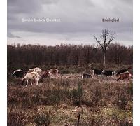 Simon Below Quartet - Encircled
