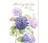 Simon Elvin - Carte de voeux "Thinking Of You Today And Always" Pack de 6 - Carton SG37767 (Taille unique) (Coloré)