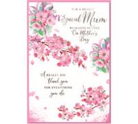 Simon Elvin - Carte de voeux "With Lots Of Love", Fête des Mères Pack de 6 - Carton SG37782 (Taille unique) (Blanc/Rose/Vert)