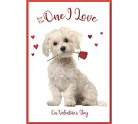 Simon Elvin - Chiot - Carte de voeux "One I Love", St Valentin Pack de 6 - Carton SG22574 (Taille unique) (Blanc/Rouge)