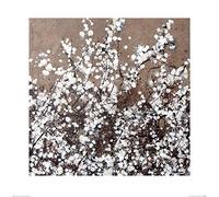 Simon Fairless (White Spring Blossom 60 x 60 cm Toile Imprimée