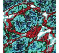 Simon H Fell & Martin Archer - Pure Water Construction [Import]