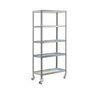 Simon Rack 1 étagère pour plantes avec roulettes 5 niveaux, capacité charge 75 kg, gris/galva, 1875 x 900 x 500 cm