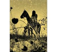 Simon Vansteenwinckel Aux Ombres /franCais Prix Nadar Gens d’images 2025 - Simon Vansteenwinckel - Lamaindonne - relié - Beau livre