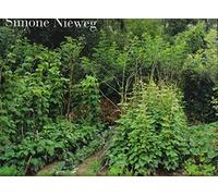 Simone Nieweg Nature Man-made /anglais/allemand