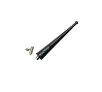 Simoni Racing ASR/01N Antenne
