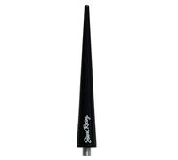Simoni Racing ASR/04N Antenne