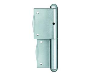 SIMONSWERK SIMONSWERK Band BAKA® C 2, 2 pcs avec goupille fixe, L100mm, acier zingué DR Quantité:10