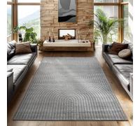 SIMPEX Tapis 160x230 cm Gris, Poils Courts Effet 3D Relief, Style Bohème Scandinave, pour Salon, Chambre, Cuisine ou Balcon