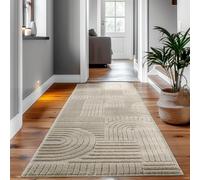 SIMPEX Tapis à Poils Longs pour Salon Tapis de Cuisine Tapis de Chambre à Coucher Beige Tapis Style 3D Taille: 80 x 150 cm Beige