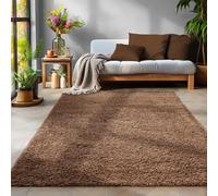 SIMPEX Tapis à Poils Longs, Unicolor - Monochrome, Tapis Marron, 100 x 200 cm, Tapis de Style Moderne, Tapis Salon