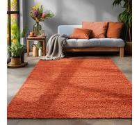SIMPEX Tapis à Poils Longs, Unicolor - Monochrome, Tapis Orange, 300 x 400 cm, Tapis de Style Moderne, Tapis Salon