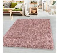 SIMPEX Tapis à Poils Longs, Unicolor - Monochrome, Tapis Rose, 60 x 110 cm, Tapis de Style Moderne, Tapis Salon