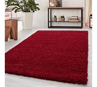 SIMPEX Tapis à Poils Longs, Unicolor - Monochrome, Tapis Rouge, 60 x 110 cm, Tapis de Style Moderne, Tapis Salon