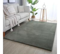 SIMPEX Tapis à Poils Longs, Unicolor - Monochrome, Tapis Vert, 80 x 150 cm, Tapis de Style Moderne, Tapis Salon