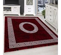 SIMPEX Tapis à Poils Ras, Conception de méandre, Tapis Rouge, 120 x 170 cm, Tapis de Style Moderne, Tapis Salon Moderne