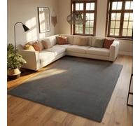 SIMPEX Tapis à Poils Ras, Unicolor - Monochrome, Tapis Gris, 120 x 170 cm, Style Moderne, Salon
