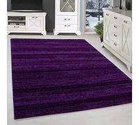 SIMPEX Tapis à Poils Ras, Unicolor - Monochrome, Tapis Violette, 120 x 170 cm, Tapis de Style Moderne, Tapis Salon Moderne